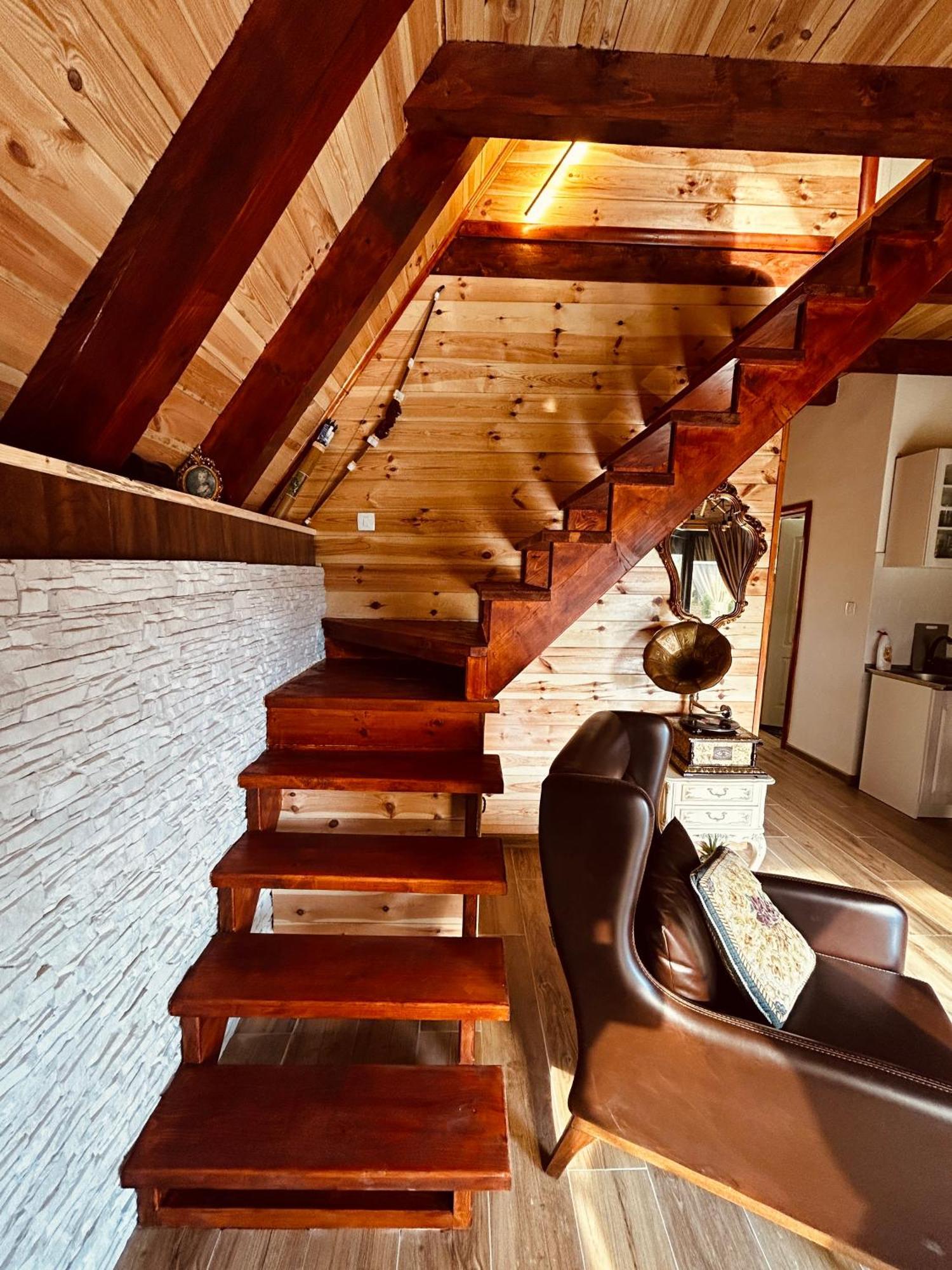 Runolist Chalet Žabljak エクステリア 写真